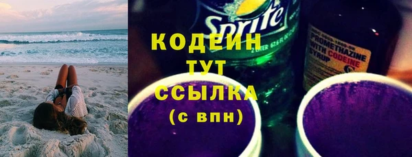 шишки Арсеньев