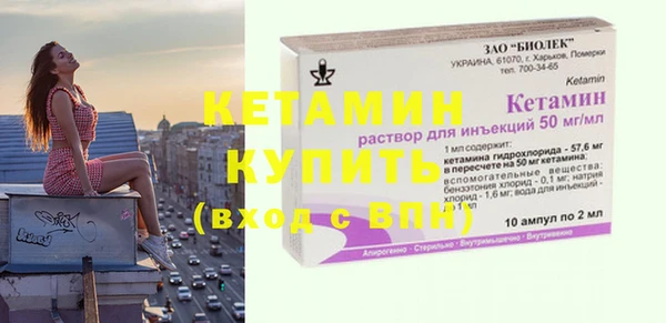 шишки Арсеньев