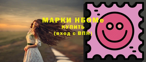 шишки Арсеньев