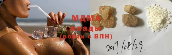 шишки Арсеньев