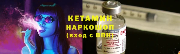 шишки Арсеньев