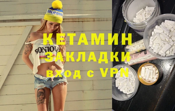 шишки Арсеньев